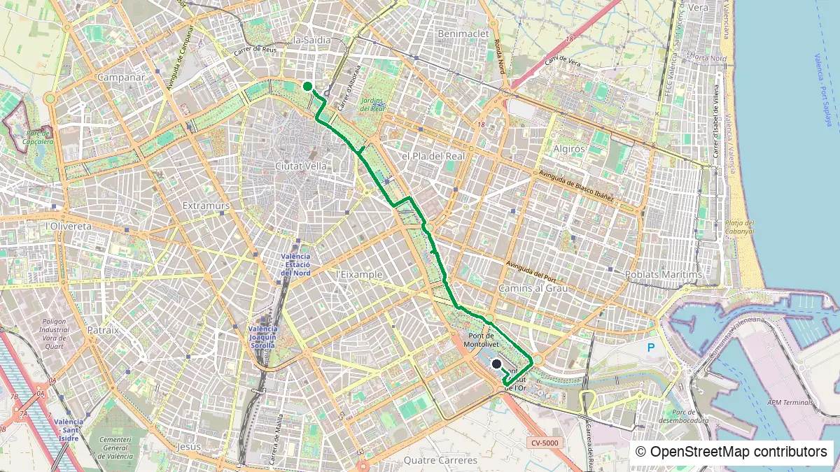 Map of the bike route to the City of Arts and Sciences from Valencia — © OpenStreetMap contributors